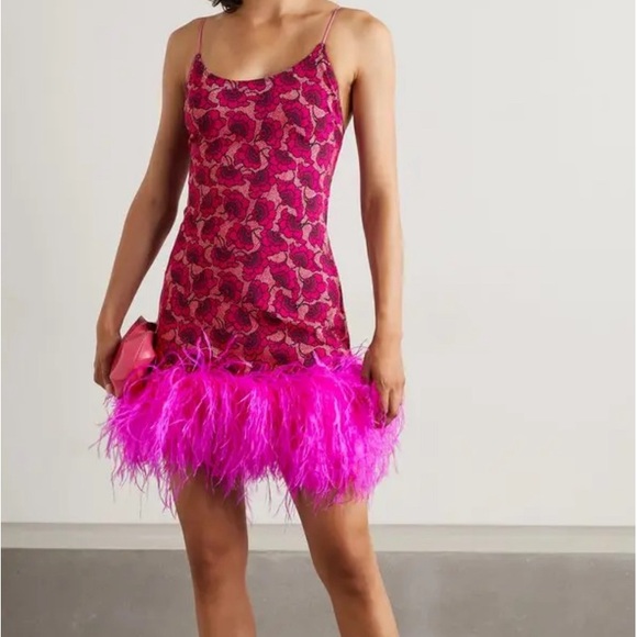 Leslie Amon Dresses & Skirts - Leslie Amon Feathered Mini Dress